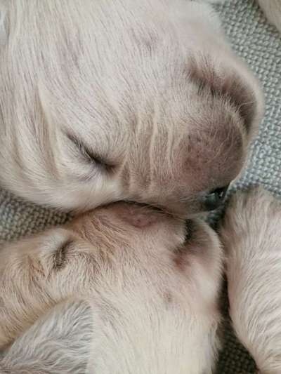 14. Farbenfoto-Challenge "Weiss"-Beitrag-Bild