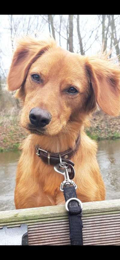 Lieblingsbild-Beitrag-Bild