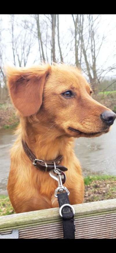 Fotochallange Nr. 57     PORTRÄT.   Beendet!!!!!!!!-Beitrag-Bild