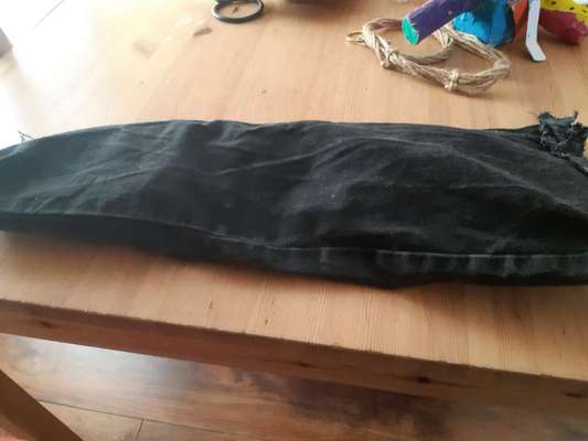 Spielzeug welches lange hält?-Beitrag-Bild