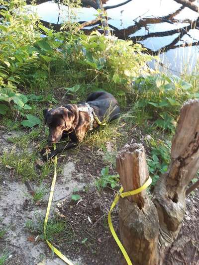 144. Fotochallenge: Trainingserfolge-Beitrag-Bild