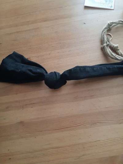 Spielzeug welches lange hält?-Beitrag-Bild