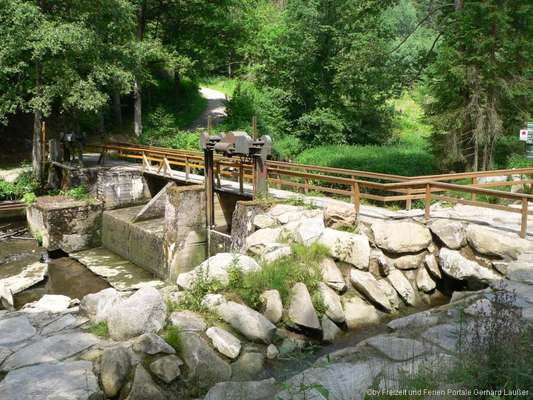 Hundeauslaufgebiet-Saußbachklamm-Bild