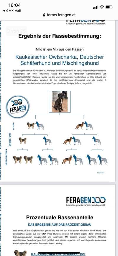 DNA Test-Beitrag-Bild