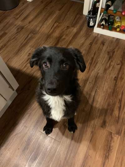 DNA Test-Beitrag-Bild