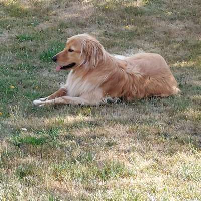 Doppelgänger gesucht !-Beitrag-Bild