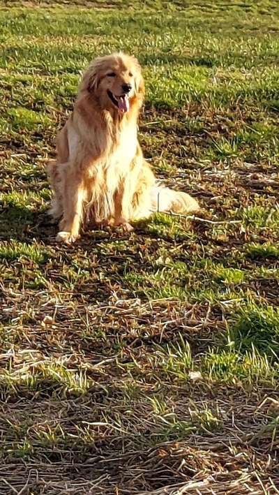 Doppelgänger gesucht !-Beitrag-Bild