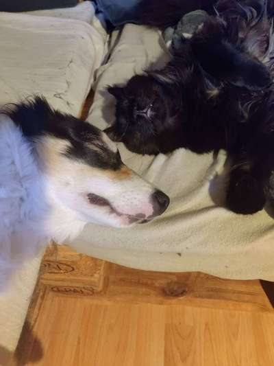 CHALLENGE Nr.17-Beitrag-Bild