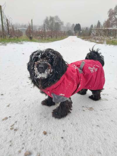 Wintermäntel bzw. Was fürn Übergang-Beitrag-Bild