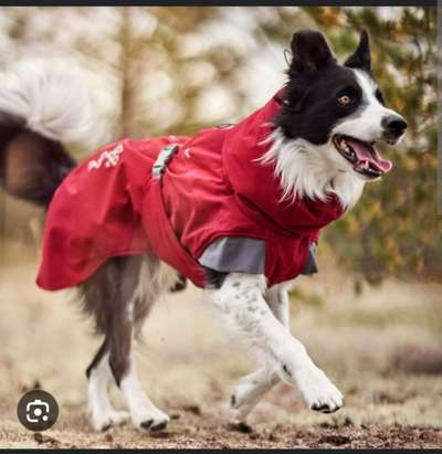 Hundemantel Hurtta Bare Winterjacke - Erfahrungen-Beitrag-Bild