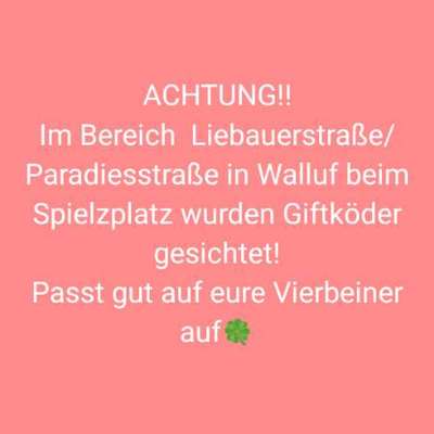 Giftköder-Giftköder-Bild