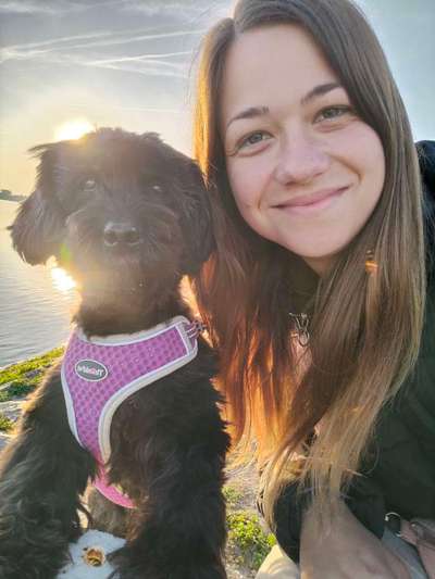Hundetreffen-Gemeinsame Spaziergänge (kurz)-Bild