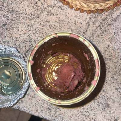 Farbunterschied Nassfutter-Beitrag-Bild