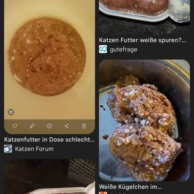 Kotfarbe ?-Beitrag-Bild