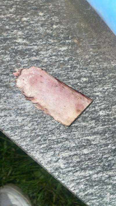 Giftköder - fressen oder reicht riechen?-Beitrag-Bild