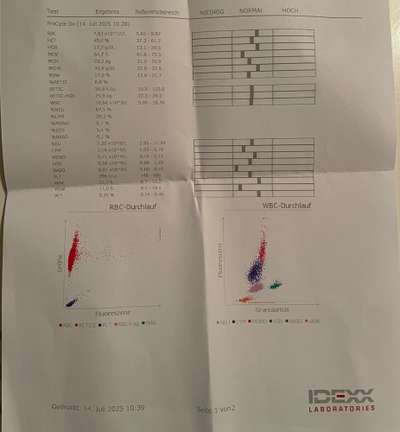 Beginnende Blasenentzündung-Beitrag-Bild