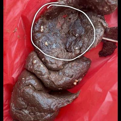 Kotfarbe ?-Beitrag-Bild