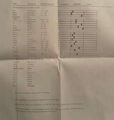 Beginnende Blasenentzündung-Beitrag-Bild