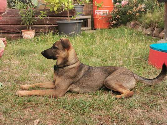 Doppelgänger gesucht !-Beitrag-Bild