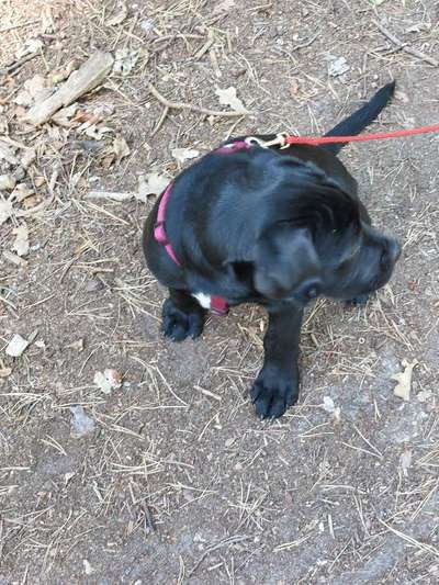 Handy-Foto Challange Nr. 10-Beitrag-Bild