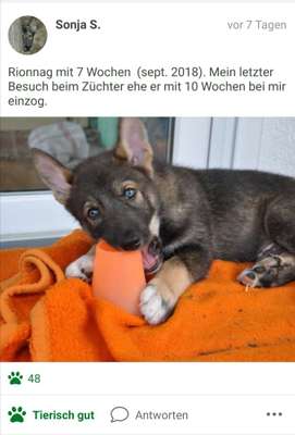 Foto Challenge 3-Beitrag-Bild