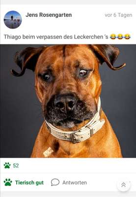 Fotochallange Nr. 6 Die irrsten Blicke-Beitrag-Bild