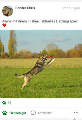 Foto Challenge die Vierte-Beitrag-Bild