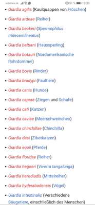 Giardien Erfahrungen-Beitrag-Bild