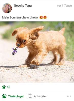 Foto Challenge 3-Beitrag-Bild