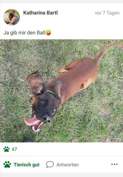 Fotochallange Nr. 6 Die irrsten Blicke-Beitrag-Bild