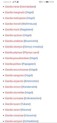 Giardien Erfahrungen-Beitrag-Bild