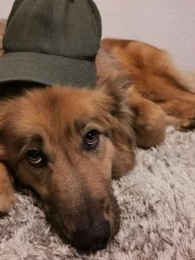 Fotochallange Nr. 6 Die irrsten Blicke-Beitrag-Bild