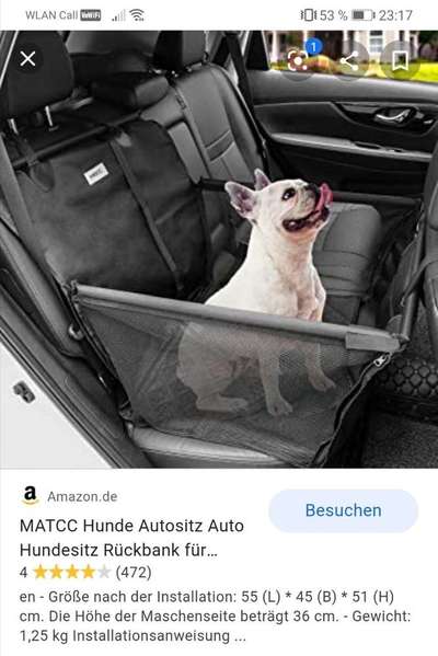 Autositz für mittelgroßen Hund-Beitrag-Bild