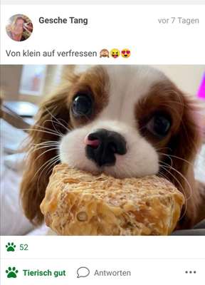 Foto Challenge 3-Beitrag-Bild