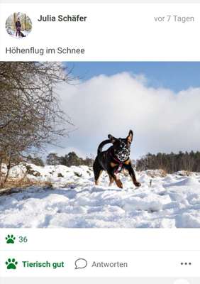 Challenge Nr. 15
Spiel im Schnee-Beitrag-Bild