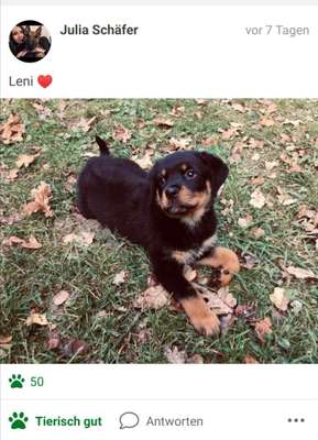 Foto Challenge 3-Beitrag-Bild