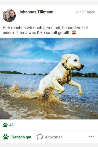 Foto Challenge - BEENDET - bitte aktuelle Challenge nutzen-Beitrag-Bild