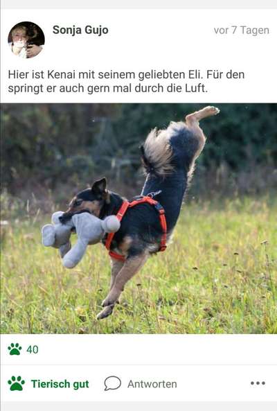 Foto Challenge die Vierte-Beitrag-Bild