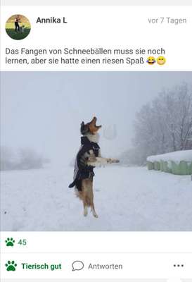 Challenge Nr. 15
Spiel im Schnee-Beitrag-Bild