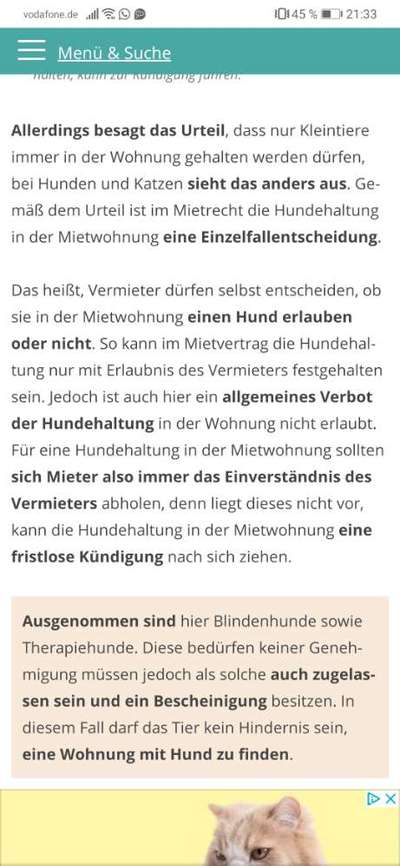 Hundehaltung Mietwohnung Recht-Beitrag-Bild