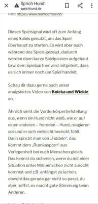 Bellen abgewöhnen-Beitrag-Bild