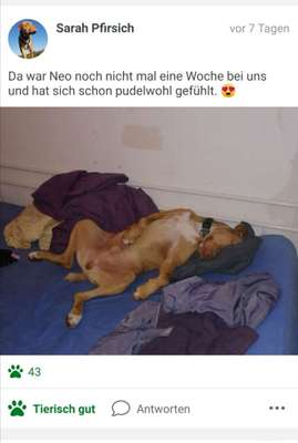 Challenge Nr 14
Eure Fellnasen auf ihrem Lieblingsplatz-Beitrag-Bild