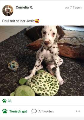 Foto Challenge die Vierte-Beitrag-Bild