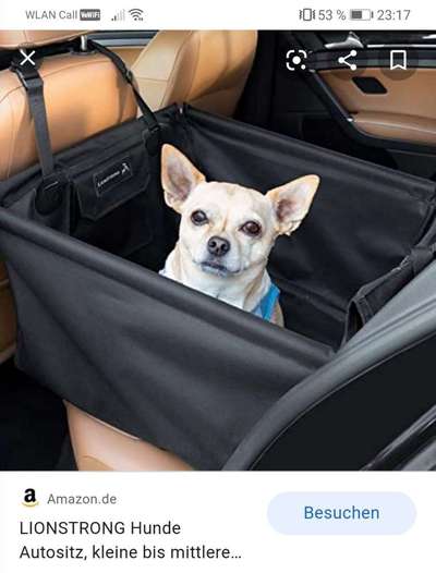 Autositz für mittelgroßen Hund-Beitrag-Bild