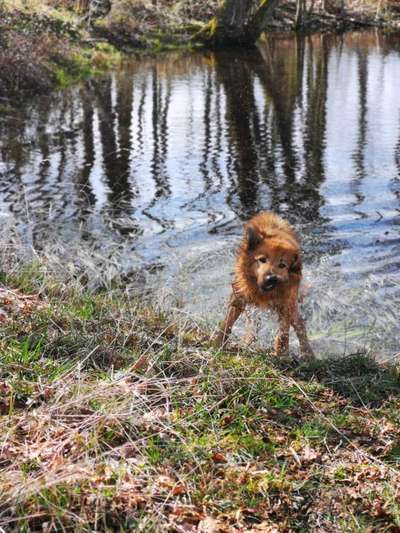 Foto Challenge - BEENDET - bitte aktuelle Challenge nutzen-Beitrag-Bild