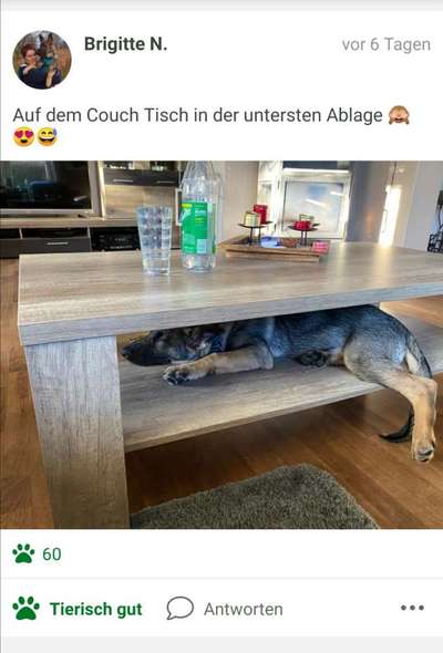 Challenge Nr 14
Eure Fellnasen auf ihrem Lieblingsplatz-Beitrag-Bild