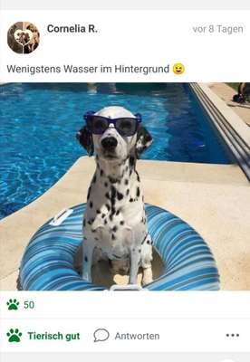 Foto Challenge - BEENDET - bitte aktuelle Challenge nutzen-Beitrag-Bild