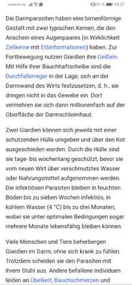 Giardien Erfahrungen-Beitrag-Bild