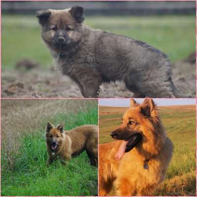 Vorher.... Nachher-Beitrag-Bild