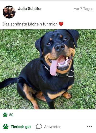 Challenge Nr. 10: "Das schönste Lächeln"-Beitrag-Bild